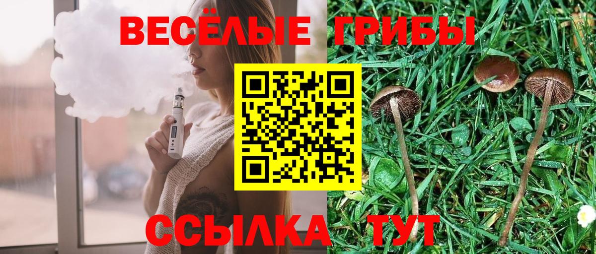 Галлюциногенные грибы прущие грибы Кыштым